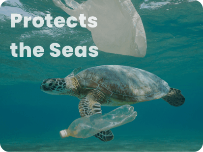 Why-Is-Doa-Important-Protects-Seas